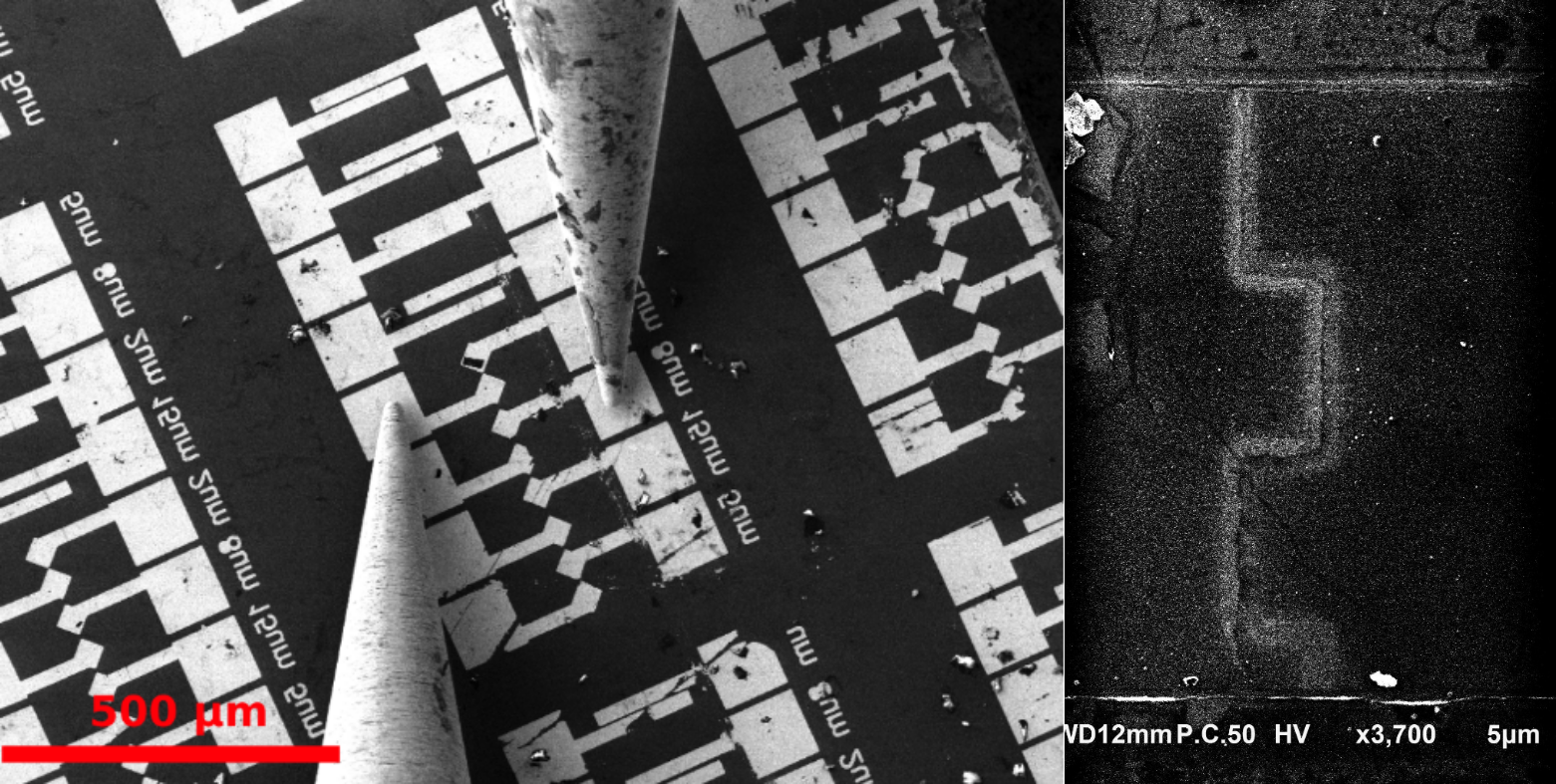 Graphene nanogap SEM